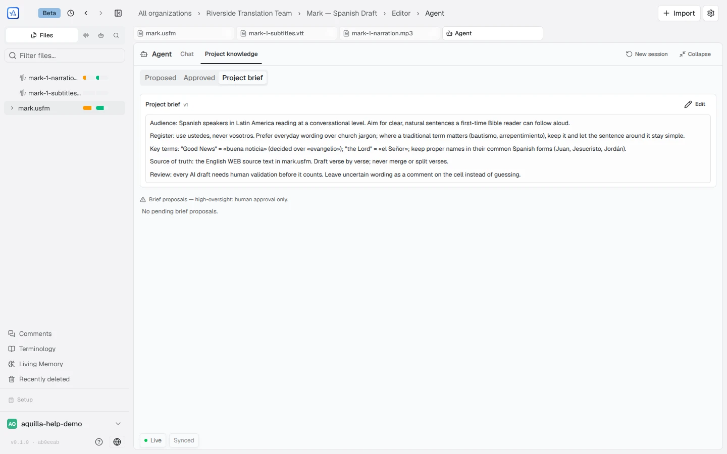 The Project brief sub-tab showing a versioned brief (v1) that sets out the project's audience, register, key terms, source of truth, and review rules, with an Edit button